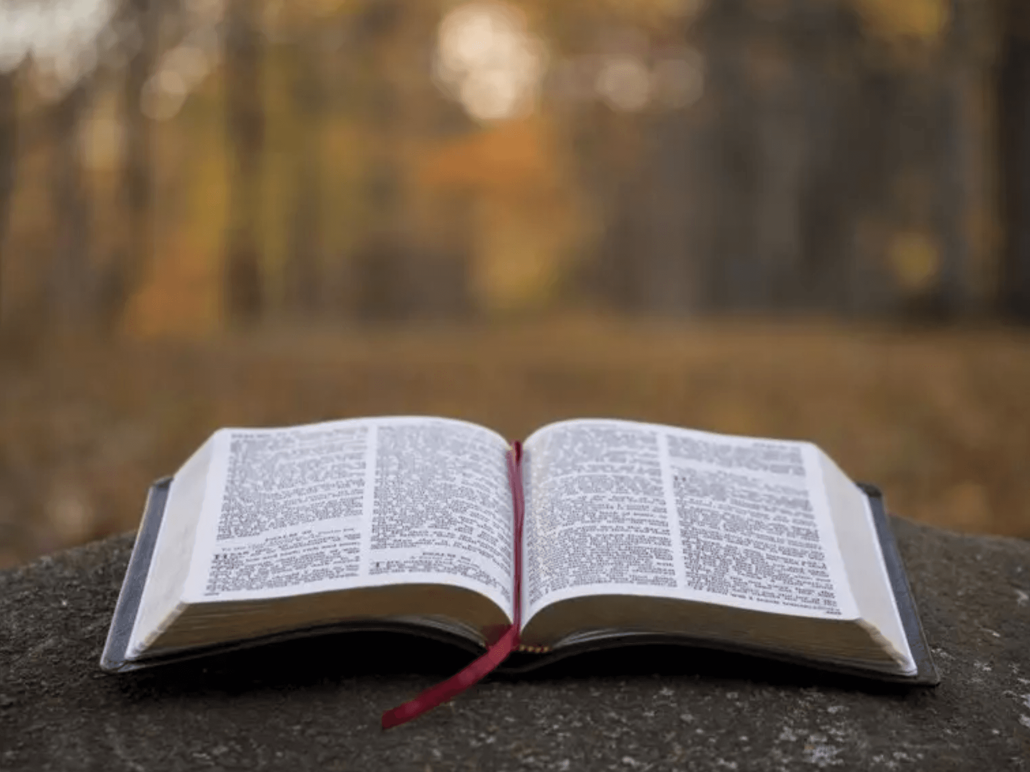 Wycliffe Associates develops technology to protect Bible translations in remote regions